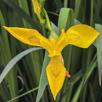 明星疑似代孕弃养背后：中介公司称90万包生男，代妈全天被监控